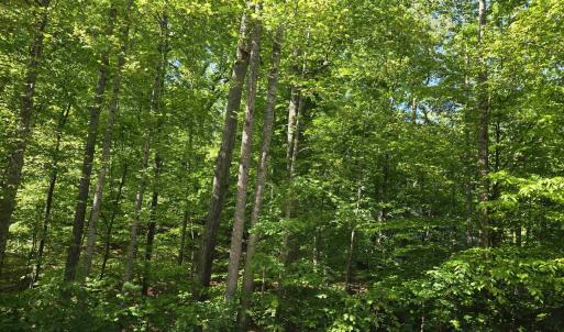 Photo #3 of 717 JEFFERSON DR, PALMYRA, VA 0.5 acres