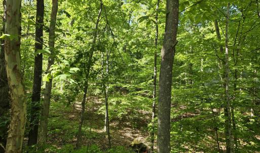 Photo #1 of 717 JEFFERSON DR, PALMYRA, VA 0.5 acres
