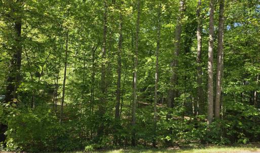 Photo #2 of 717 JEFFERSON DR, PALMYRA, VA 0.5 acres