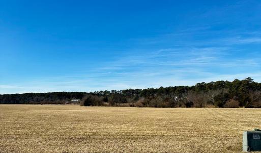 Photo #10 of 22 SEAVIEW ST, ACCOMAC, VA 3.0 acres