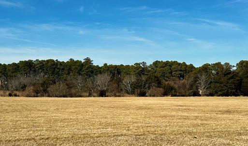 Photo #11 of 22 SEAVIEW ST, ACCOMAC, VA 3.0 acres