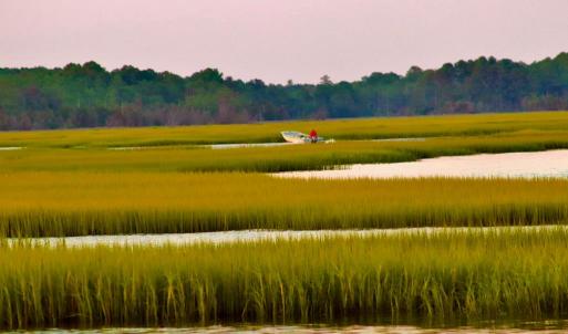 Photo #12 of 22 SEAVIEW ST, ACCOMAC, VA 3.0 acres