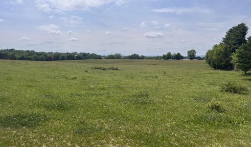 Photo #3 of 2010 KNIGHTLY MILL RD, NEW HOPE, VA 86.1 acres