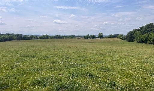 Photo #1 of 2010 KNIGHTLY MILL RD, NEW HOPE, VA 86.1 acres