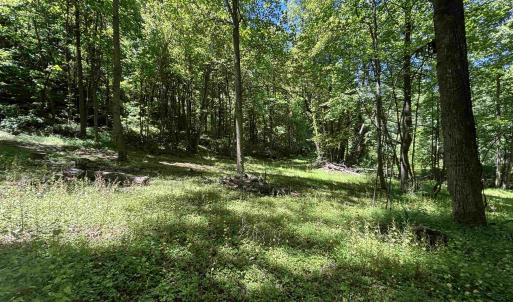 Photo #13 of JORDAN HOLLOW RD, STANLEY, VA 56.7 acres