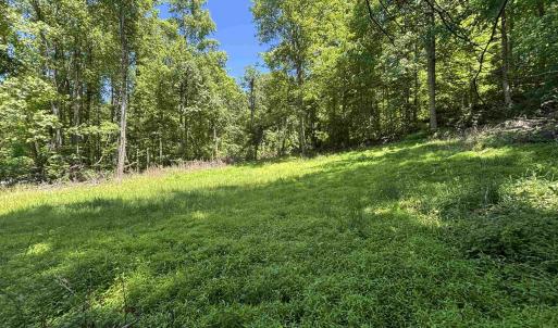 Photo #15 of JORDAN HOLLOW RD, STANLEY, VA 56.7 acres