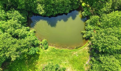 Photo #2 of JORDAN HOLLOW RD, STANLEY, VA 56.7 acres