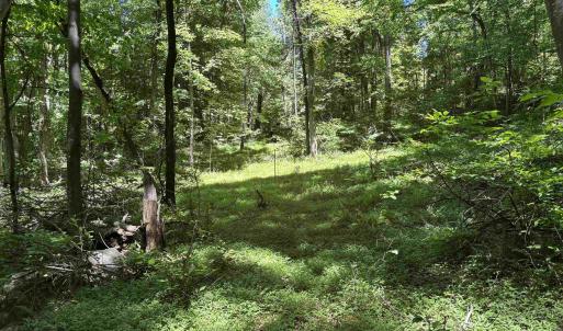 Photo #14 of JORDAN HOLLOW RD, STANLEY, VA 56.7 acres