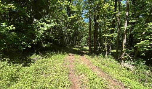 Trail around/across property