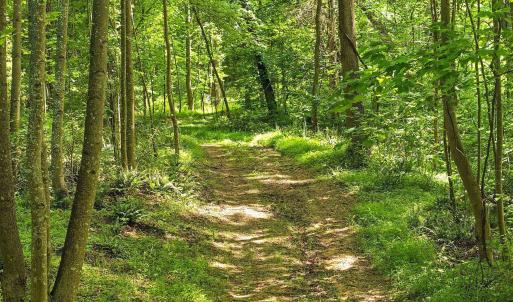 Trail around/across property