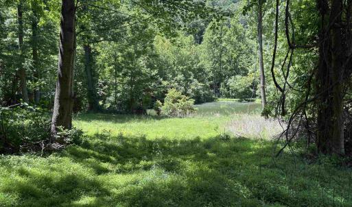 Photo #10 of JORDAN HOLLOW RD, STANLEY, VA 56.7 acres