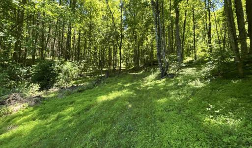 Photo #20 of JORDAN HOLLOW RD, STANLEY, VA 56.7 acres