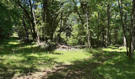 Photo #12 of JORDAN HOLLOW RD, STANLEY, VA 56.7 acres