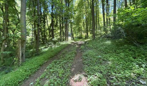 Trail around/across property