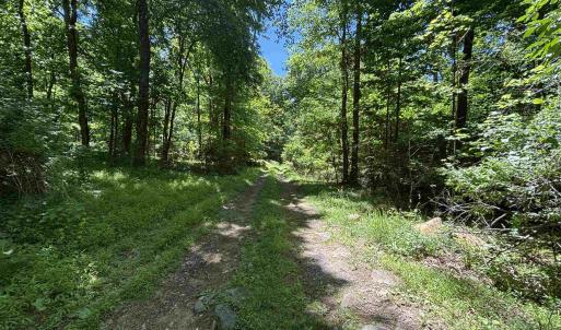 Path from road leading into property