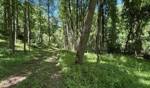 Trail around/across property