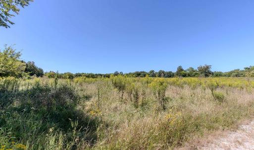 Photo #4 of 2593 CUMBERLAND RD, CUMBERLAND, VA 99.0 acres