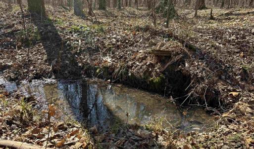 Photo #10 of 1 MAPLE BRIDGE RD, DILLWYN, VA 24.6 acres
