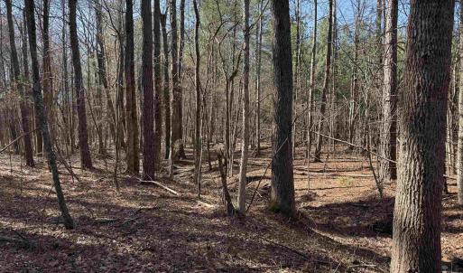Photo #6 of 1 MAPLE BRIDGE RD, DILLWYN, VA 24.6 acres