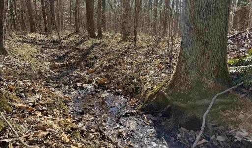 Photo #9 of 1 MAPLE BRIDGE RD, DILLWYN, VA 24.6 acres