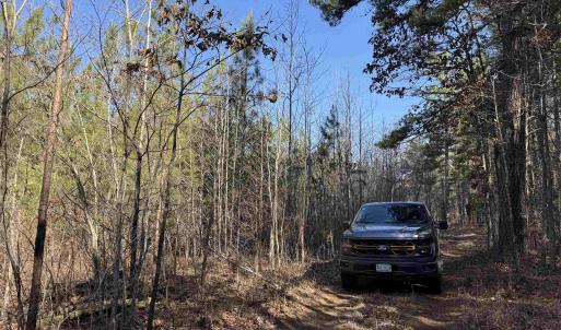 Photo #3 of 1 MAPLE BRIDGE RD, DILLWYN, VA 24.6 acres