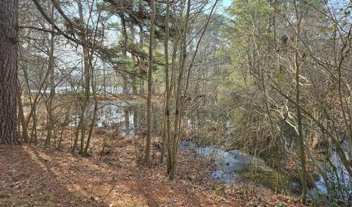 Photo #3 of BAYSIDE RD, GREENBUSH, VA 1.5 acres