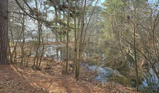 Photo #4 of BAYSIDE RD, GREENBUSH, VA 1.5 acres