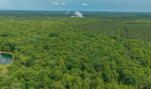 Photo #16 of TBD ROCK LN, SCOTTSVILLE, VA 20.0 acres