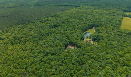 Photo #21 of TBD ROCK LN, SCOTTSVILLE, VA 20.0 acres