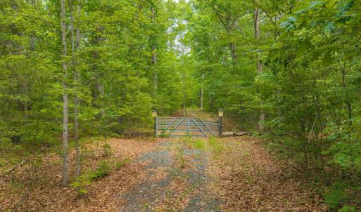 Photo #15 of TBD ROCK LN, SCOTTSVILLE, VA 20.0 acres