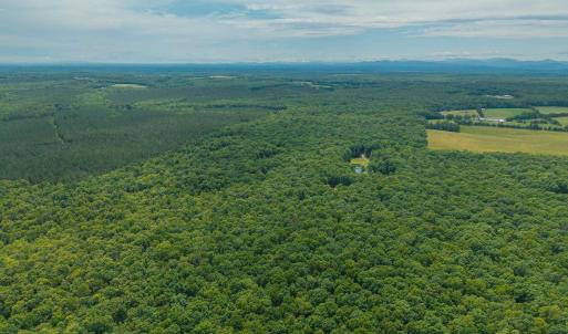 Photo #13 of TBD ROCK LN, SCOTTSVILLE, VA 20.0 acres