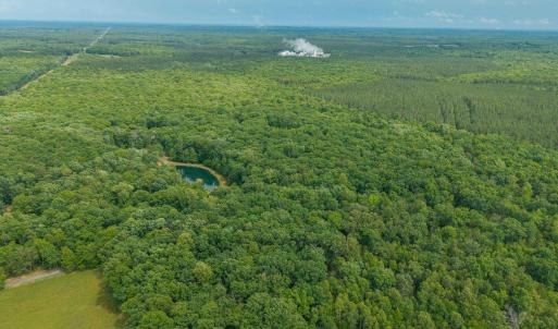 Photo #11 of TBD ROCK LN, SCOTTSVILLE, VA 20.0 acres