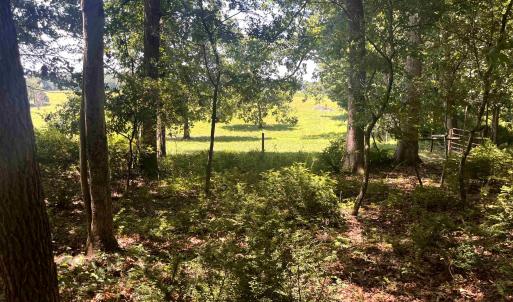 Photo #8 of TBD SPOTTSWOOD RD, SPOTTSWOOD, VA 3.6 acres