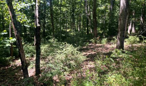 Photo #5 of TBD SPOTTSWOOD RD, SPOTTSWOOD, VA 3.6 acres