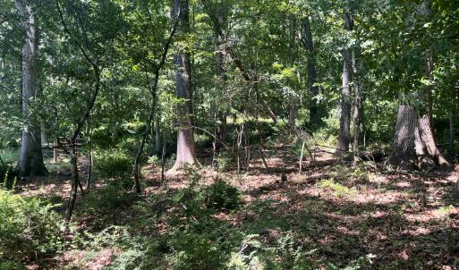 Photo #9 of TBD SPOTTSWOOD RD, SPOTTSWOOD, VA 3.6 acres