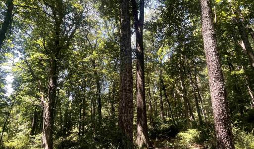 Photo #1 of TBD SPOTTSWOOD RD, SPOTTSWOOD, VA 3.6 acres