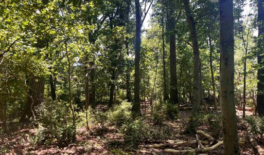 Photo #11 of TBD SPOTTSWOOD RD, SPOTTSWOOD, VA 3.6 acres