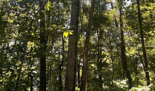 Photo #3 of TBD SPOTTSWOOD RD, SPOTTSWOOD, VA 3.6 acres