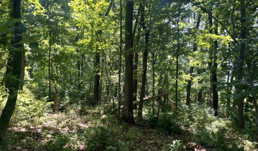 Photo #6 of TBD SPOTTSWOOD RD, SPOTTSWOOD, VA 3.6 acres
