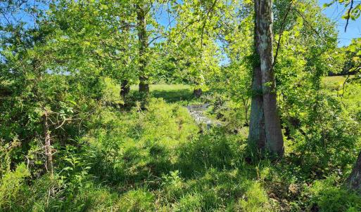 Photo #29 of TBD INDIAN TRAIL RD, PENN LAIRD, VA 31.6 acres