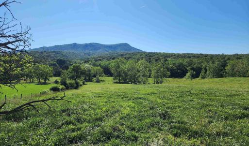 Photo #18 of TBD INDIAN TRAIL RD, PENN LAIRD, VA 31.6 acres