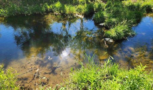 Photo #33 of TBD INDIAN TRAIL RD, PENN LAIRD, VA 31.6 acres