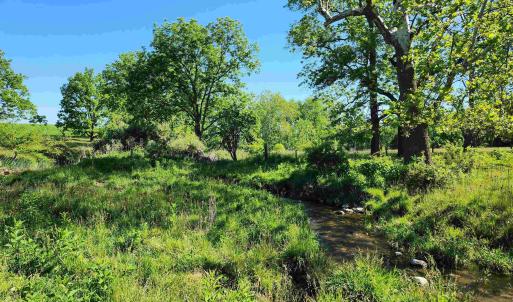 Photo #21 of TBD INDIAN TRAIL RD, PENN LAIRD, VA 31.6 acres