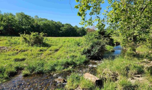 Photo #26 of TBD INDIAN TRAIL RD, PENN LAIRD, VA 31.6 acres