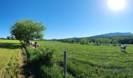 Photo #8 of TBD INDIAN TRAIL RD, PENN LAIRD, VA 31.6 acres