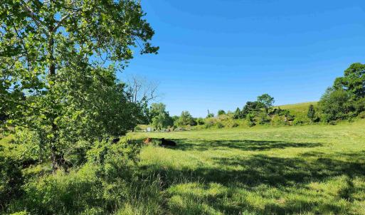 Photo #31 of TBD INDIAN TRAIL RD, PENN LAIRD, VA 31.6 acres