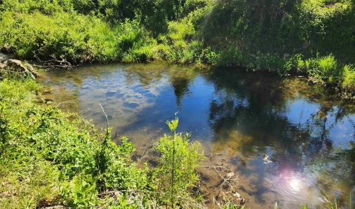 Photo #32 of TBD INDIAN TRAIL RD, PENN LAIRD, VA 31.6 acres
