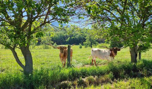 Photo #9 of TBD INDIAN TRAIL RD, PENN LAIRD, VA 31.6 acres