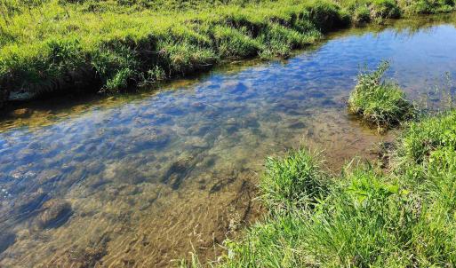 Photo #20 of TBD INDIAN TRAIL RD, PENN LAIRD, VA 31.6 acres