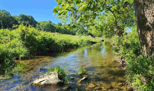 Photo #36 of TBD INDIAN TRAIL RD, PENN LAIRD, VA 31.6 acres